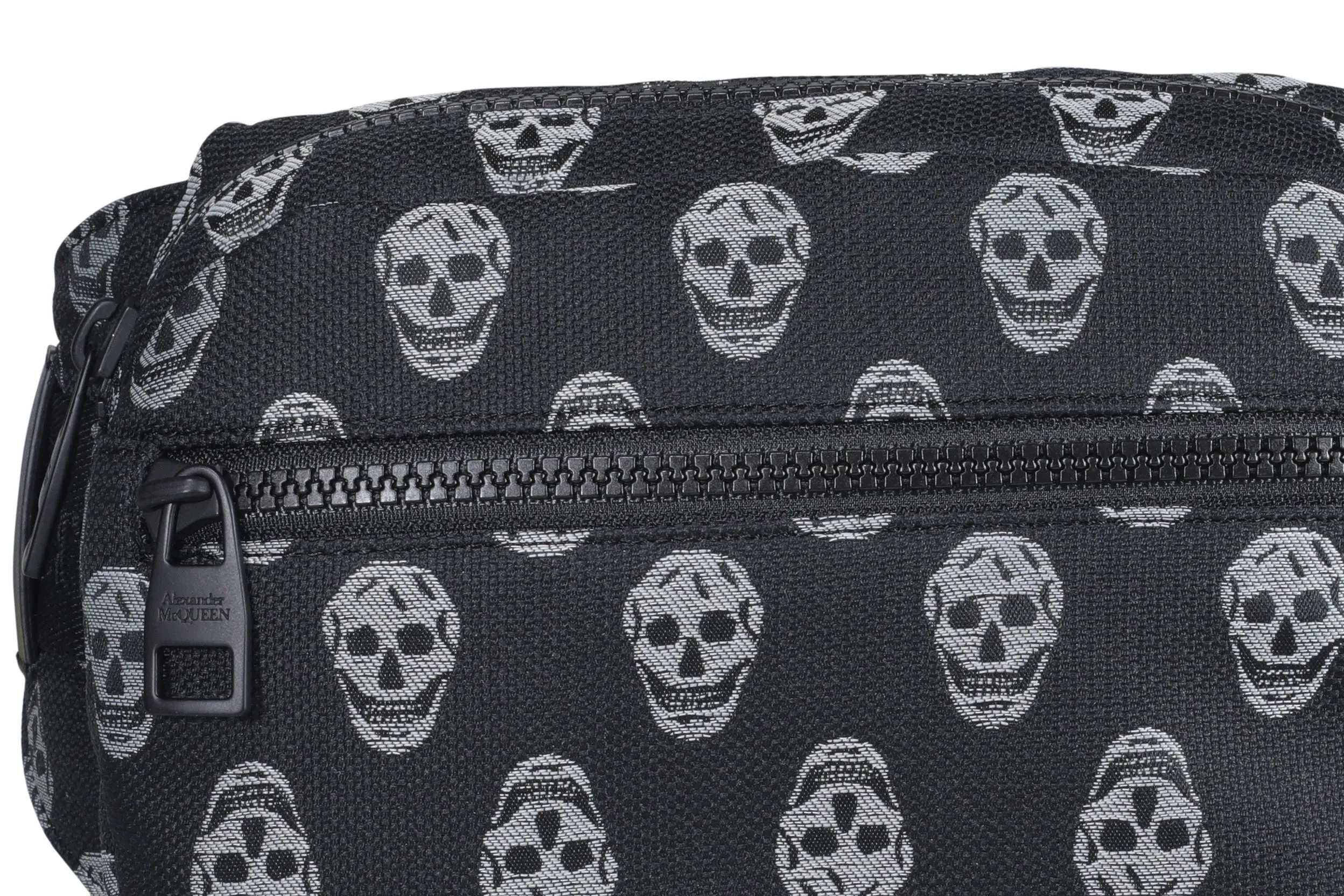 Alexander McQueen Skull Print Zipped Belt Bag