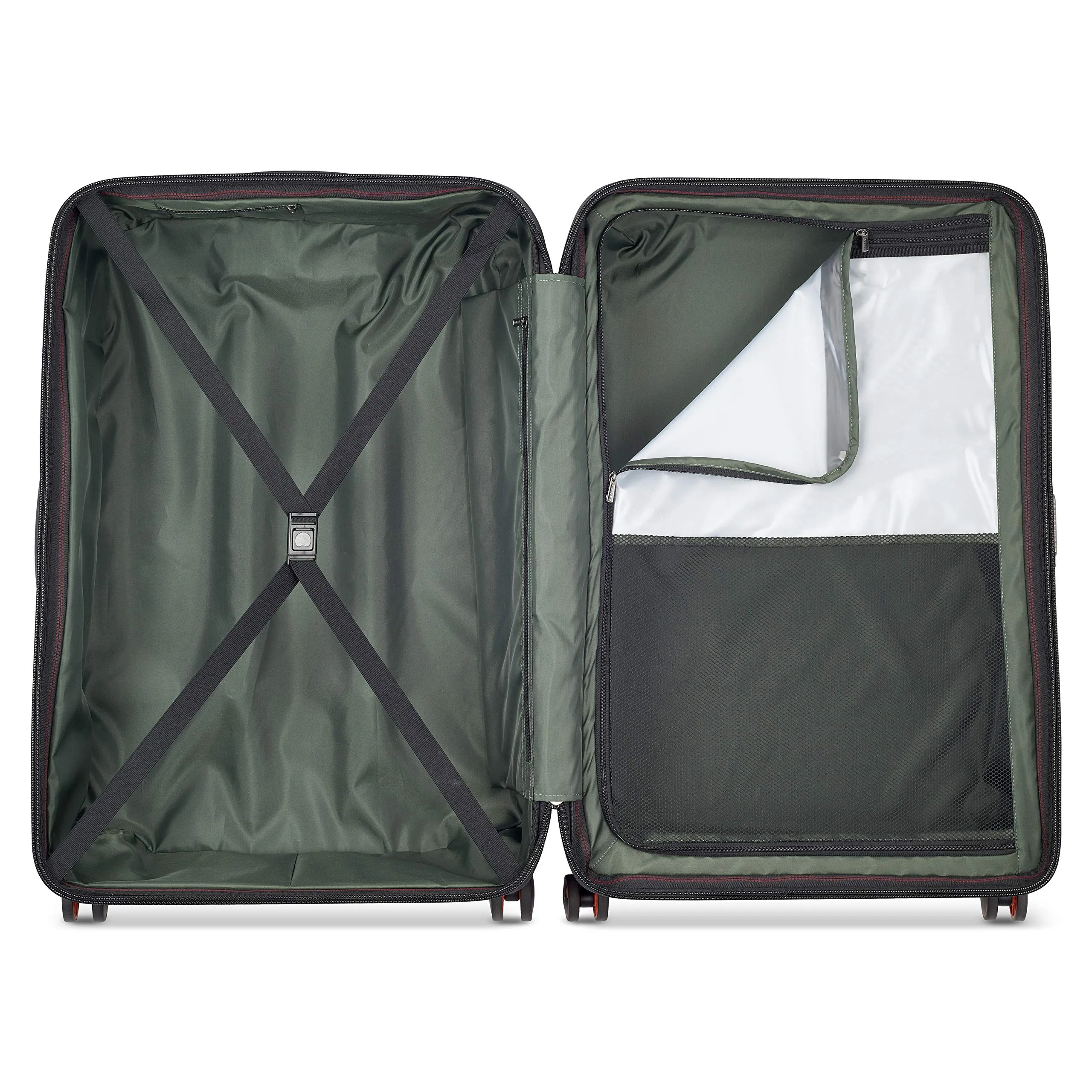 Delsey Paris Cactus Large Hardside Luggage with Spinner Wheels